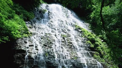 高端高性能电子